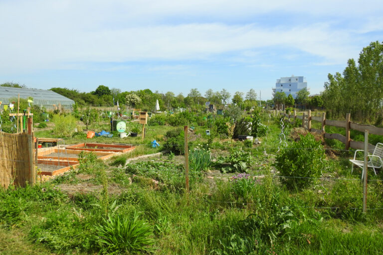 Grüne Fraktion will Gemeinschaftsgärten stärken