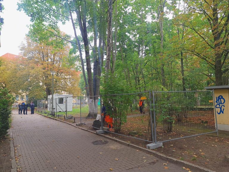 Bündnisgrüne Fraktion Pankow begrüßt den Stopp der Baumfällungen im Schlossparkkiez