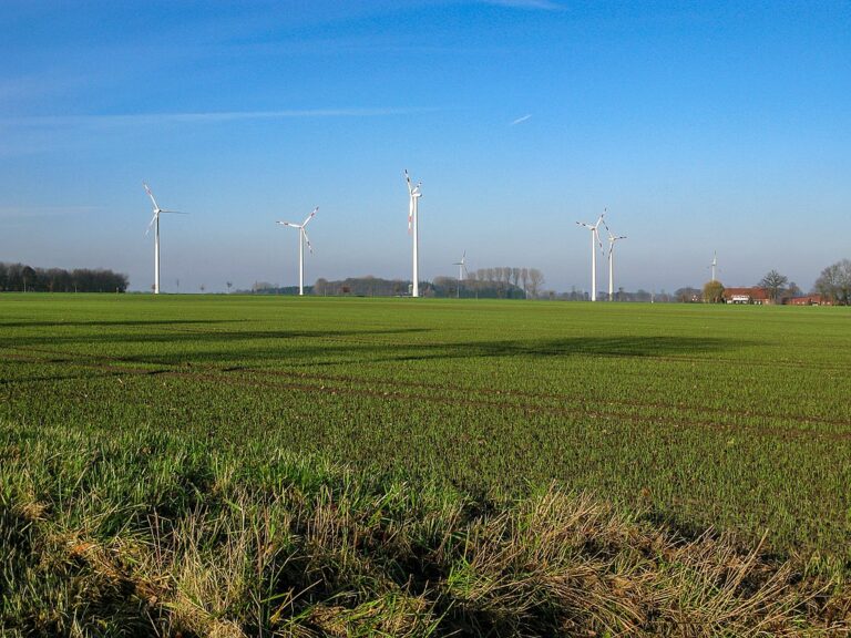 Grünenfraktion will mehr Windräder für Pankow